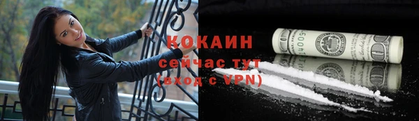 дмт Абаза