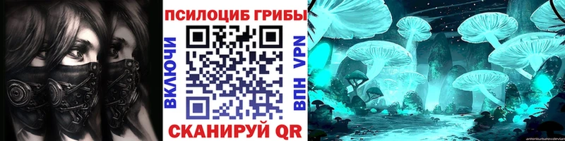 магазин наркотиков Железногорск-Илимский kraken ссылки Псилоцибиновые грибы Psilocybine cubensis